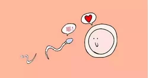 孕期指南图片,怀孕一周指南