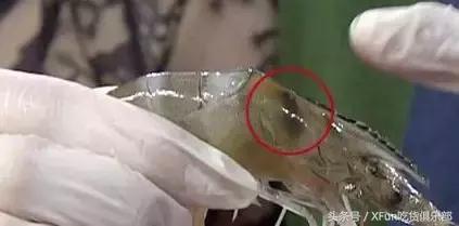吃虾线的正确方法,吃虾处理虾第一步应该怎么做