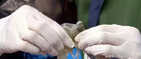 吃虾线的正确方法,吃虾处理虾第一步应该怎么做