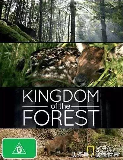 世界地球日，最适合孩子看的18部自然纪录片，趁周末，带娃看起来