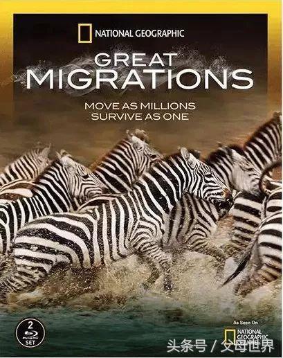 世界地球日，最适合孩子看的18部自然纪录片，趁周末，带娃看起来