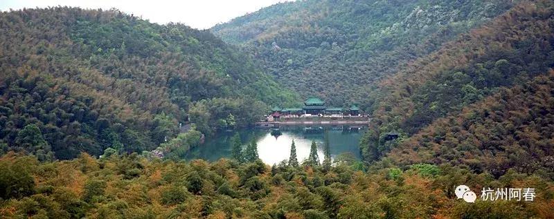神游世外桃源完整视频,神游仙居景区