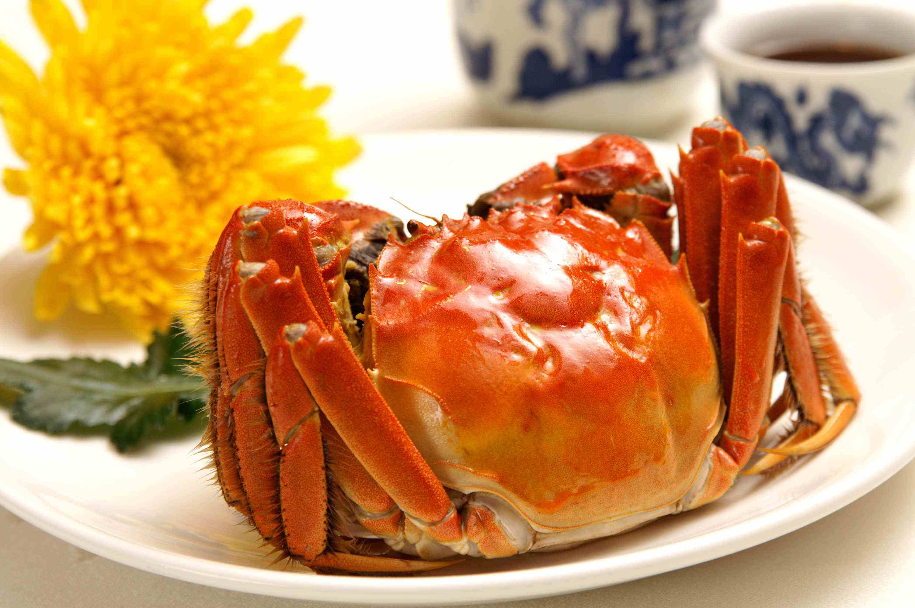 怀孕后注意哪些食物导致流产,怀孕后孕妇不能吃的食物建议收藏