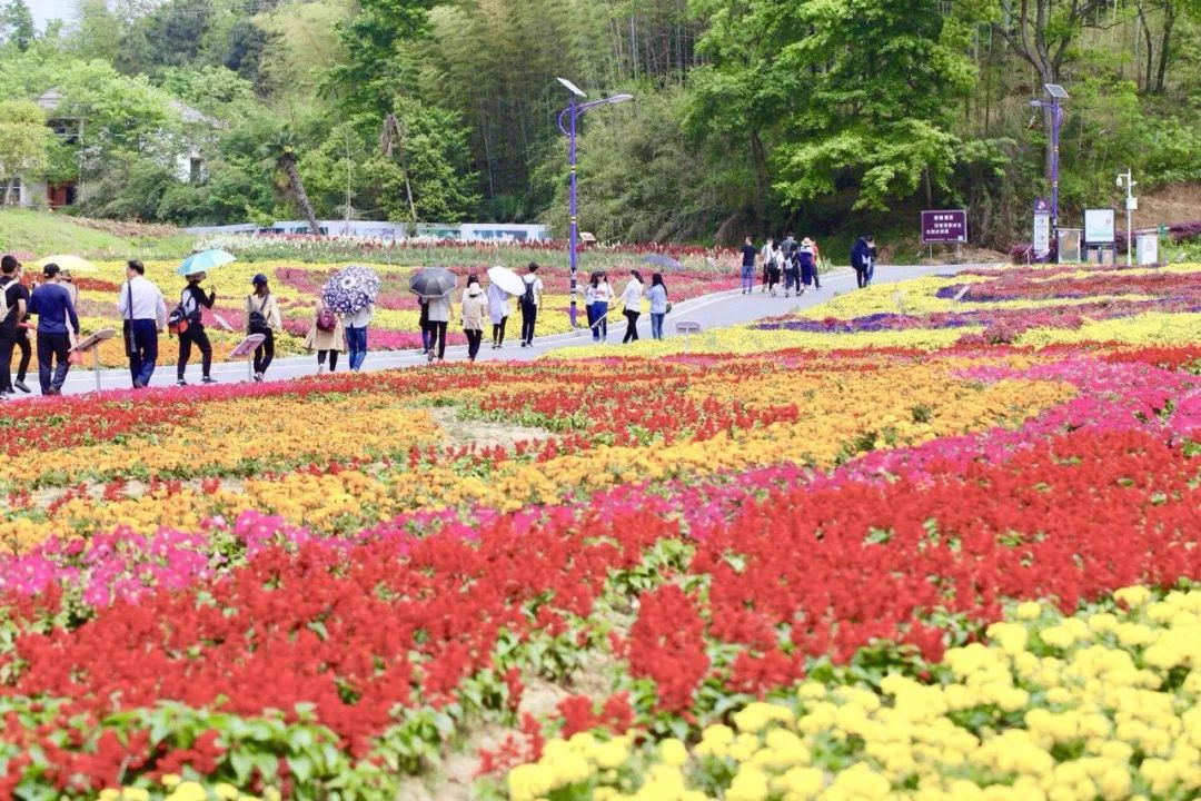 黄冈旅游一日游 (武汉黄冈景区有哪些景点)