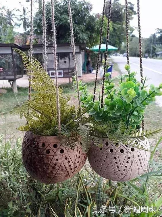 椰子如何处理能长久保存,椰子如何处理干净