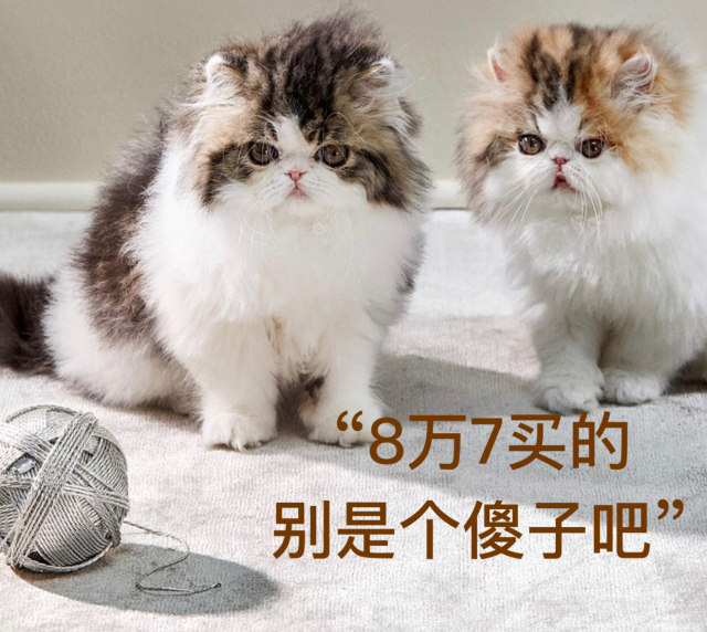 tiffany天价毛线球,tiffany官网毛线球