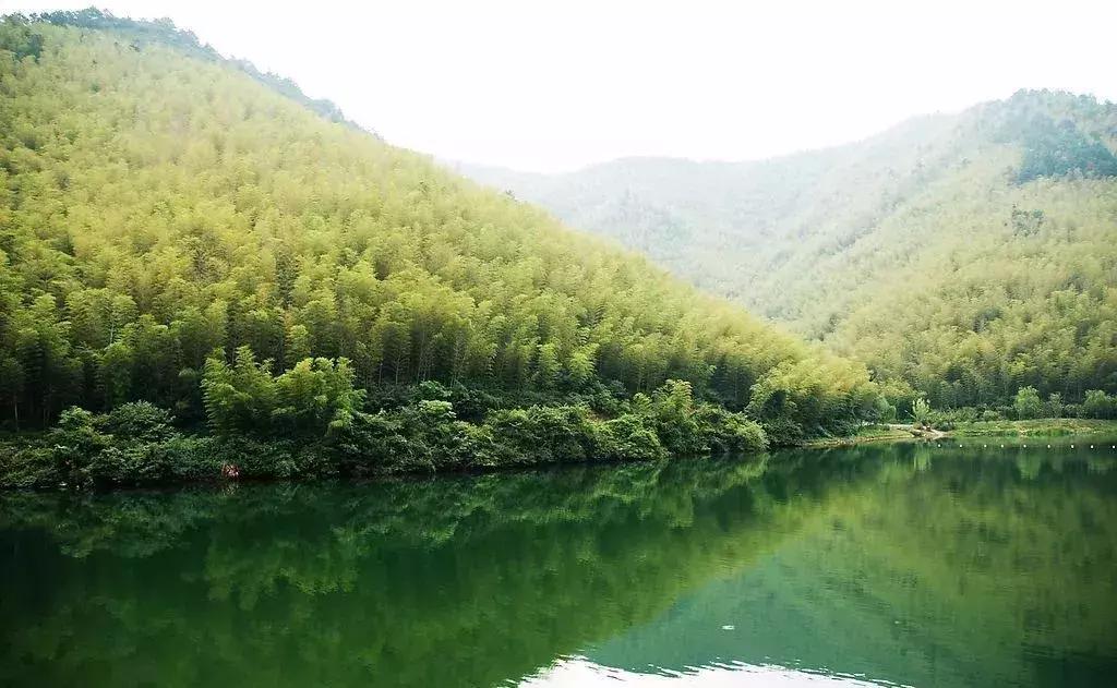 浜斾竴浜插瓙鍑烘父濂藉幓澶勫懆杈规父,杩戞湡鏈夊嚭娓歌鍒掑悧