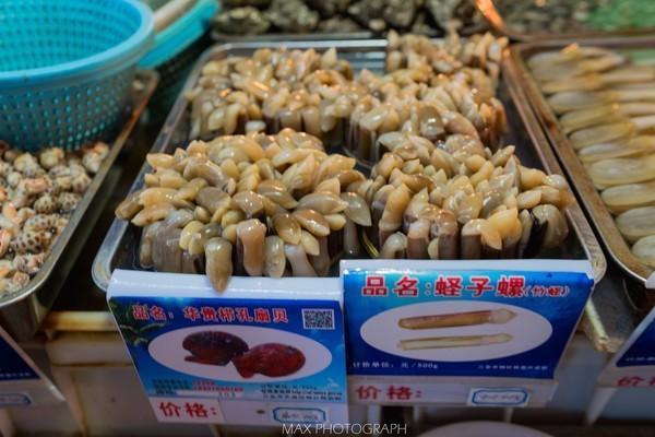 碧海蓝天椰风海韵旅行,碧海蓝天三亚亲子游攻略