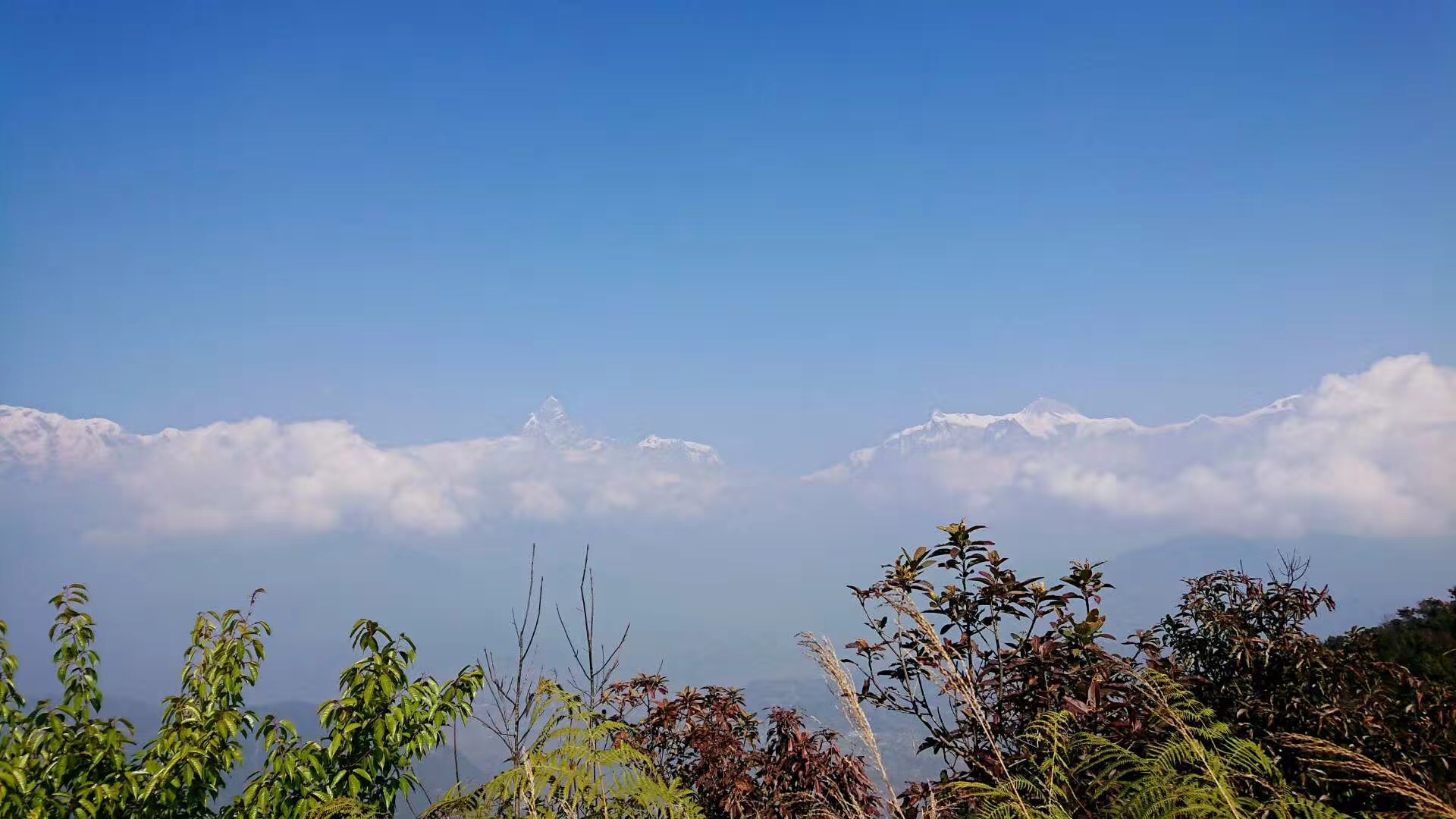 盘点尼泊尔旅游的一些坑，出租车坑最泛滥，警惕陌生人搭讪