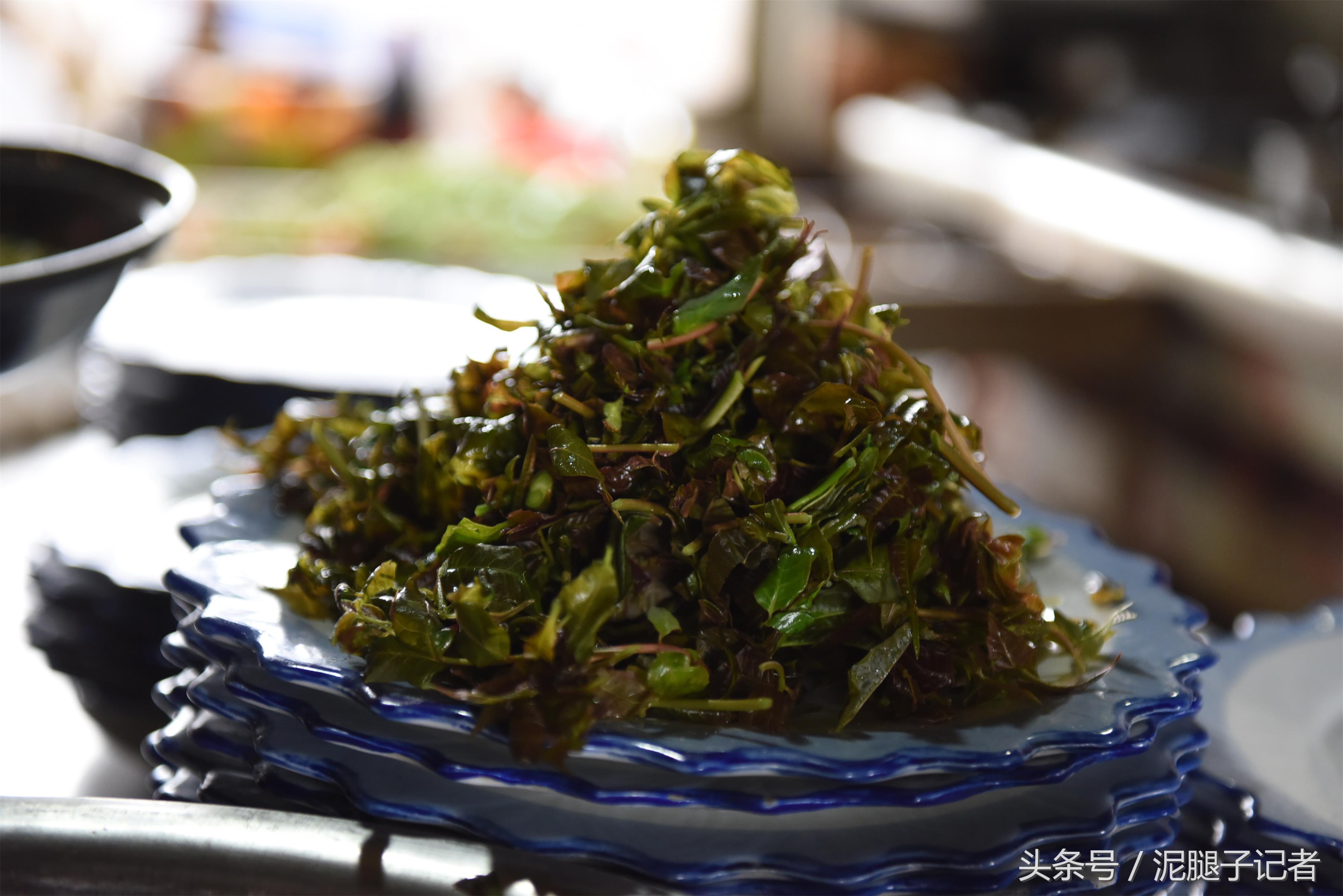 这位农村大哥真能整，用香椿做了一桌子菜，不重样