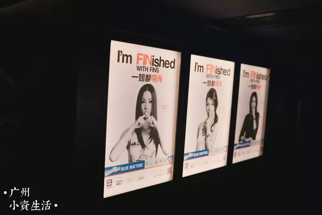 巴南海洋公园一日游攻略 (香港海洋公园游玩攻略)