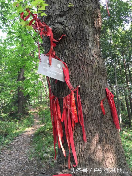 意想不到的地方美景,广水三潭风景区有什么好玩的