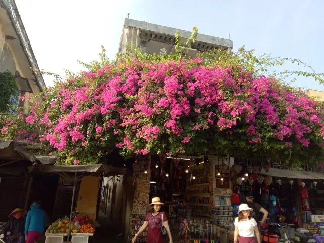 越南旅行之岘港攻略,越南岘港巴拿山风景