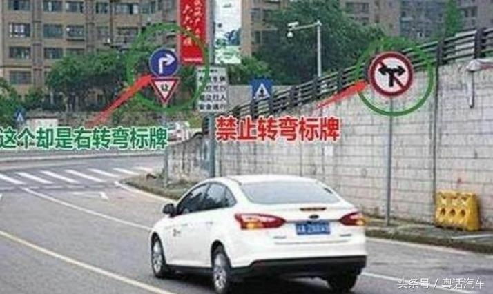 遇到什么标志不需要主动让行,路口遇到左转标志可以右转吗