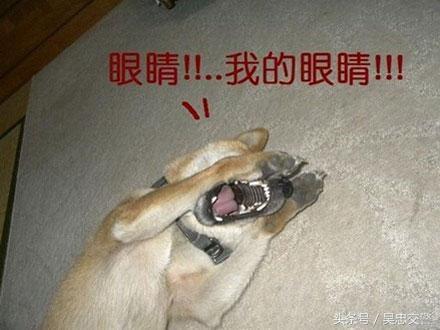 你有一条语音信息请注意查收,你有一条短信请注意查收什么意思