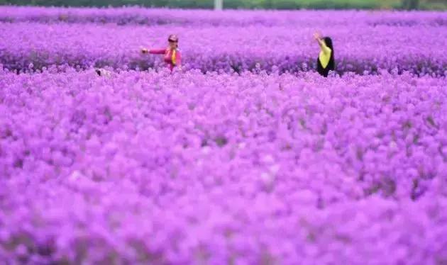 还出什么国？去了易县，等于去了全世界，不信你看！