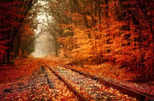 还出什么国？去了易县，等于去了全世界，不信你看！