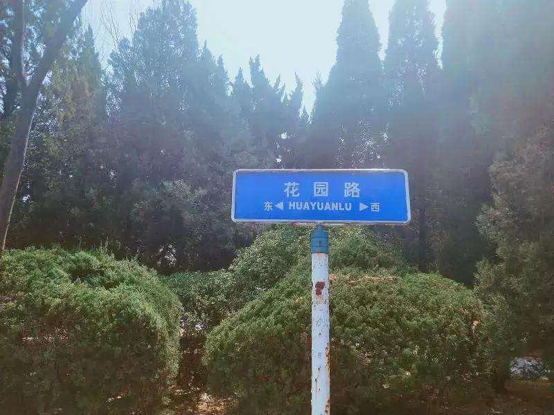 陪你走过烟大的每一条路