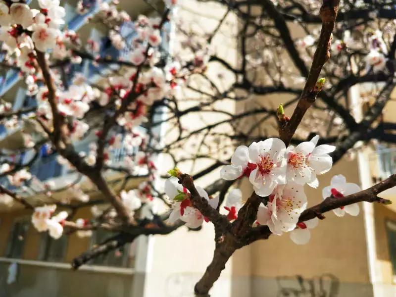 陪你走过沿途的风景,陪你走过每段路