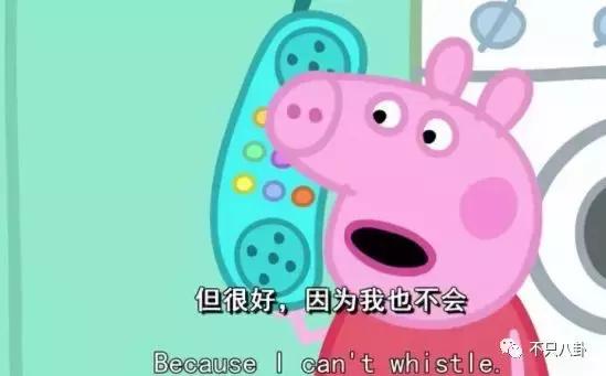 生活圈被它攻占，明星主动“蹭”它热度，现在的流量担当是这只猪