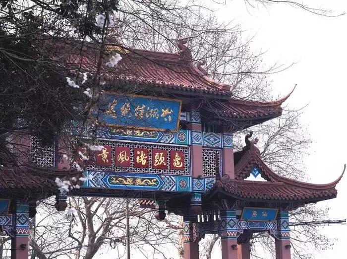 东南dx3自驾游,江浙寻花事