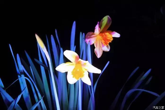 东南dx3自驾游,江浙寻花事