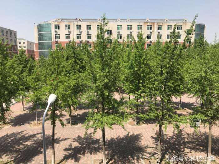 华为p20现在有必要入手吗,华为p20现在还可以用吗