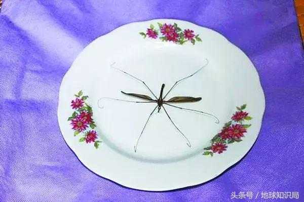 北方人到南方被吓坏,北方人在南方过冬最怕什么