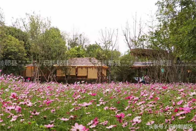 又一家高颜值花园音乐烤吧入驻郫都，趁五一快去痛快的搓一顿吧！