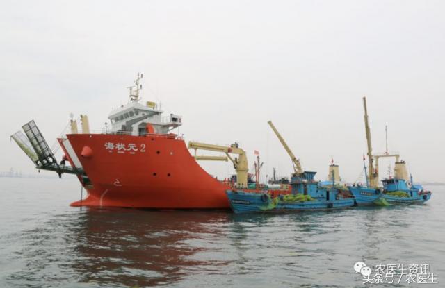 青岛海大生物集团海藻生物肥价格,海大生物单俊伟
