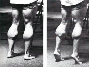 为什么练弹跳还是没增加弹跳,为什么你的弹跳会下降