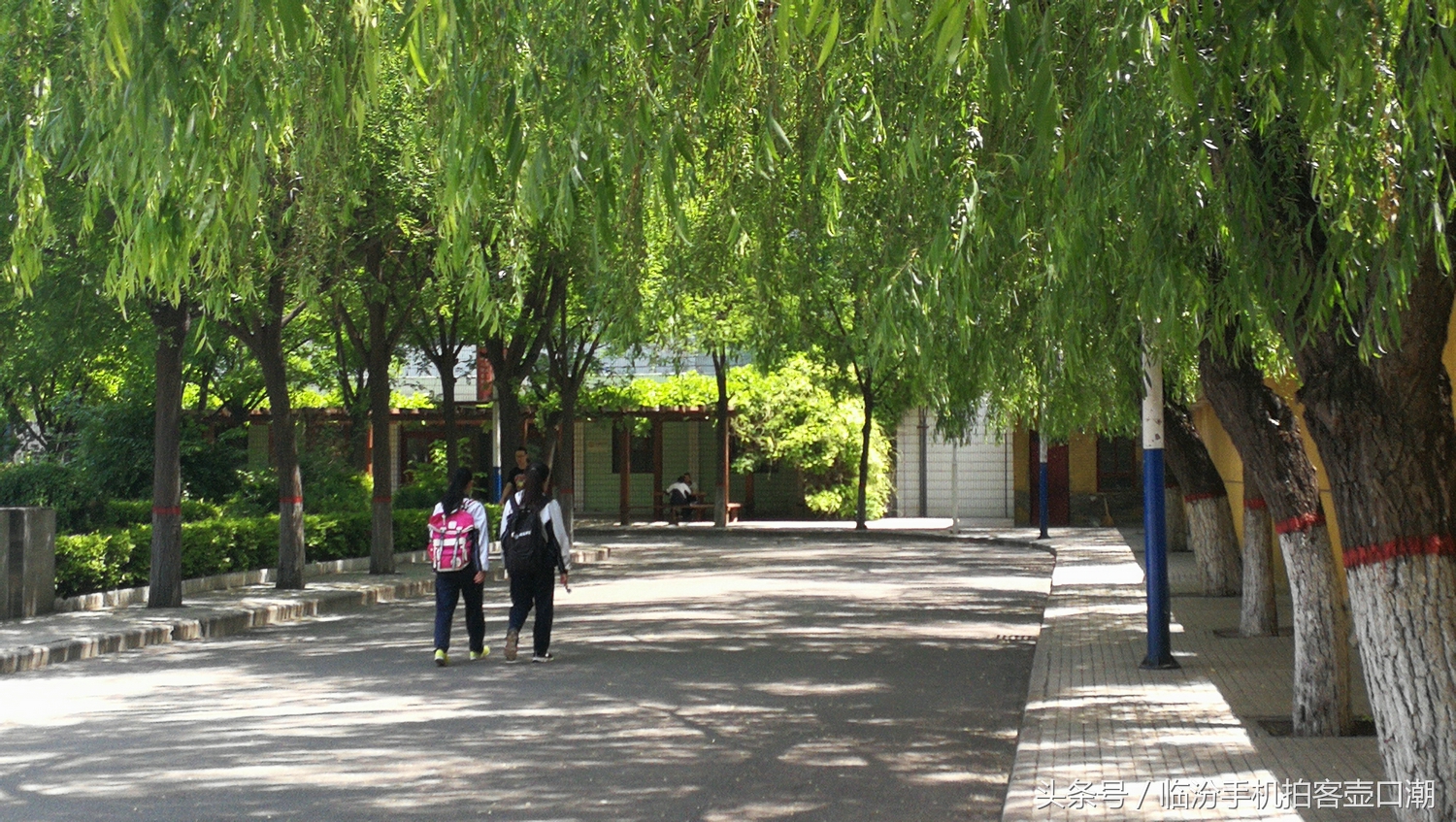 临汾三中校园风光,临汾三中校园