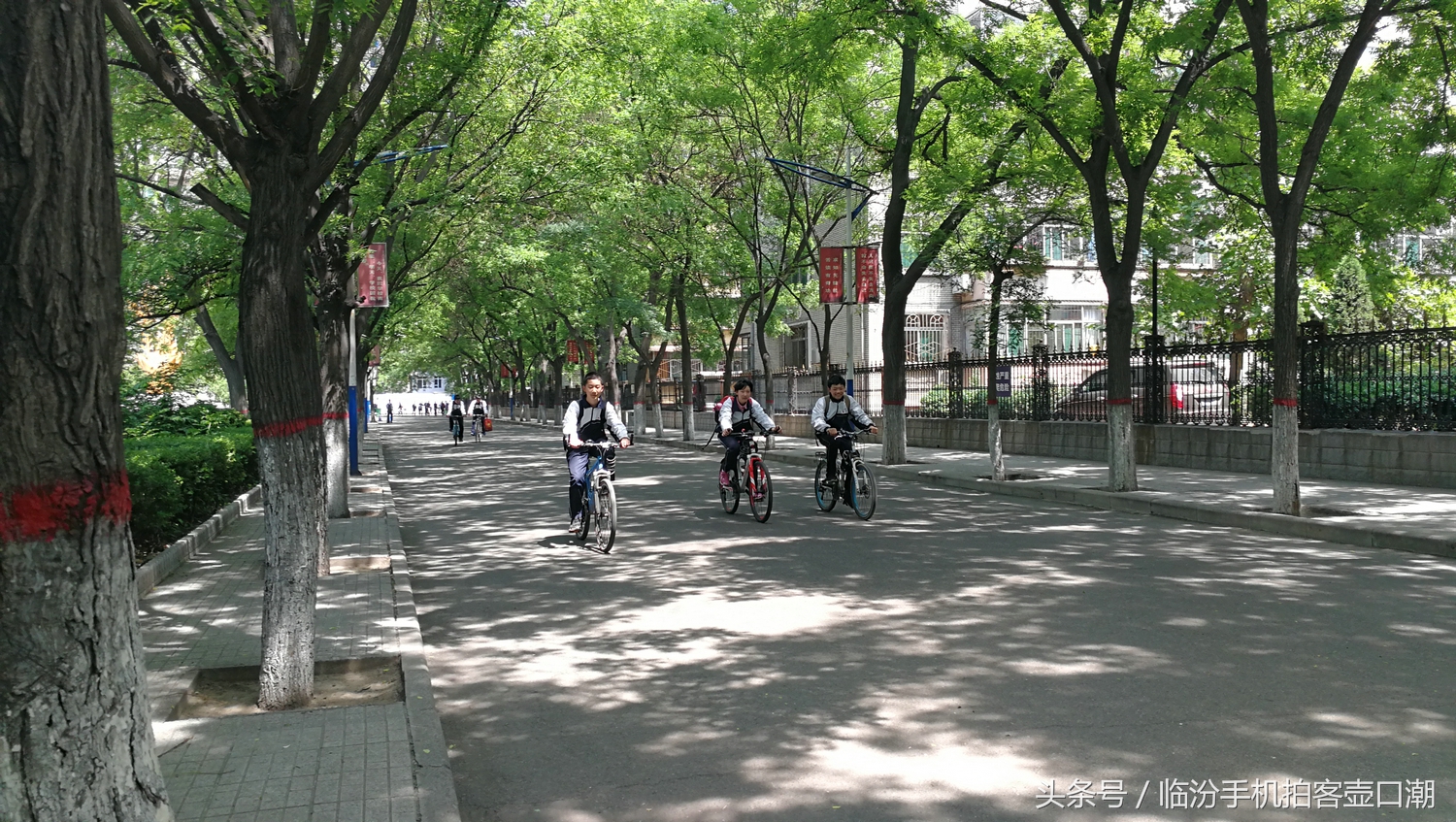 临汾三中校园风光,临汾三中校园