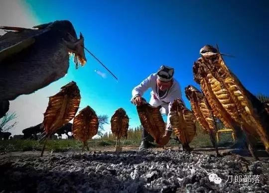 五一游玩小短文一年级,五一游玩的小短文50字