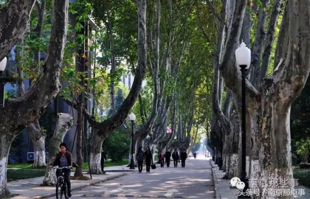 适合南京一日游的三十项免费景点,南京值得打卡的小众景点