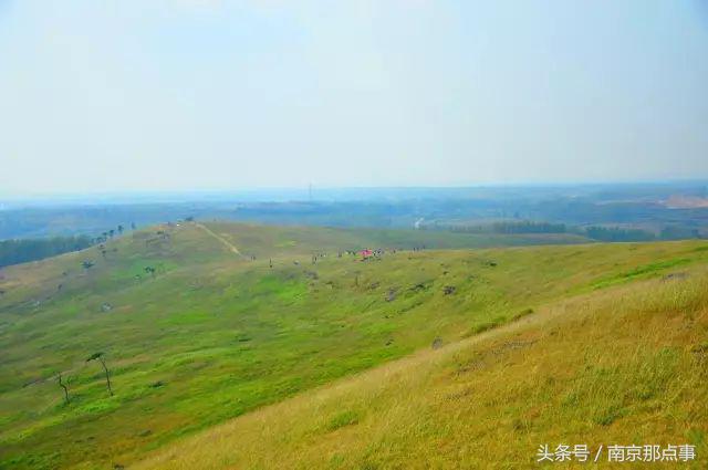 适合南京一日游的三十项免费景点,南京值得打卡的小众景点