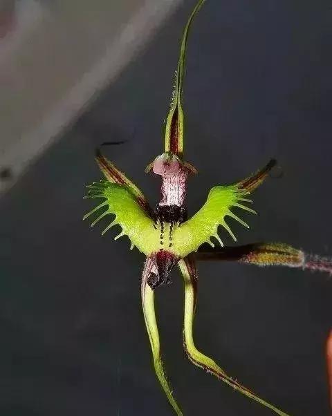 五一聚会的图片可保存,五一微信群图片