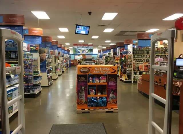 宠物行业风口,宠物行业的发展现状及前景