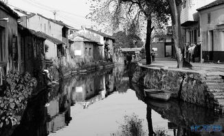 台湾沈姓百家姓排名,百家姓氏沈姓