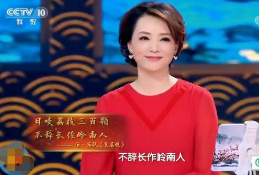 《中国诗词大会》康震点评苏轼，在最低境遇活出最高境界，真牛！