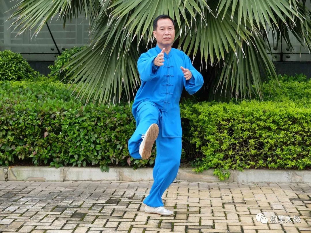 陈雄杨式太极拳基本功讲解,陈雄聊太极拳视频全集