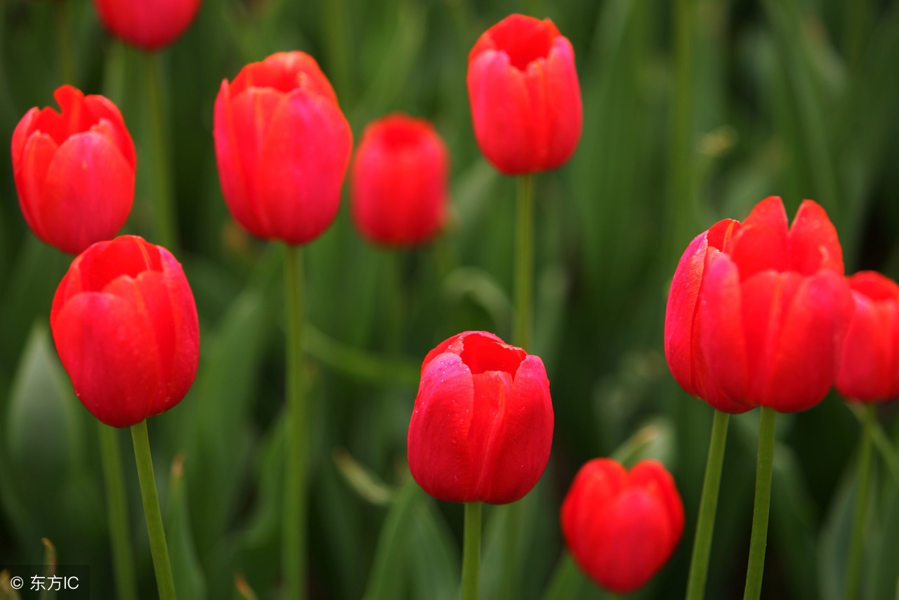 生活语录相册,生活感悟相册