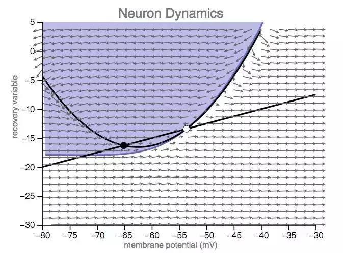 深度神经网络学习,简述人工神经网络的生物学基础