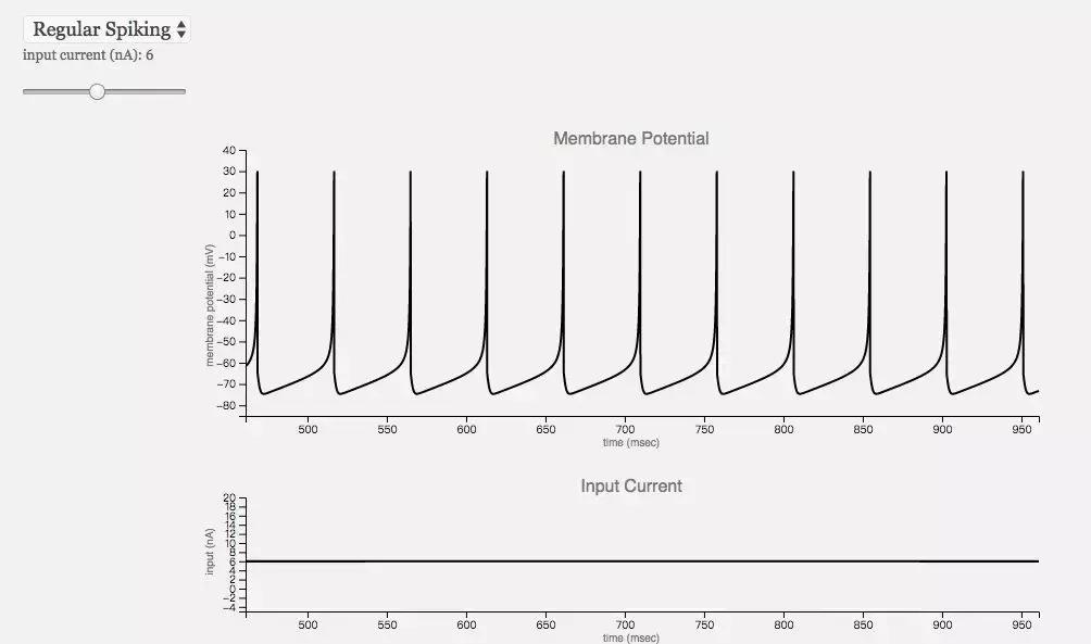 深度神经网络学习,简述人工神经网络的生物学基础