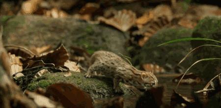 假期一定要给孩子看的20部纪录片,12部适合和孩子一起看的纪录片