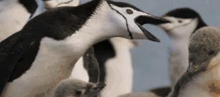 假期一定要给孩子看的20部纪录片,12部适合和孩子一起看的纪录片