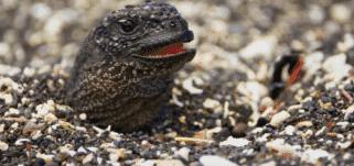 假期一定要给孩子看的20部纪录片,12部适合和孩子一起看的纪录片