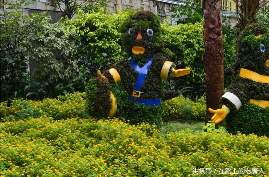 长隆野生动物园和欢乐世界哪个好,长隆欢乐世界水上乐园门票多少钱