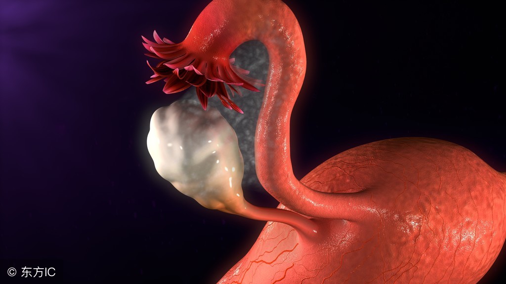 宫颈肥大做彩超能发现吗,宫颈肥大宫颈纳囊能治好吗