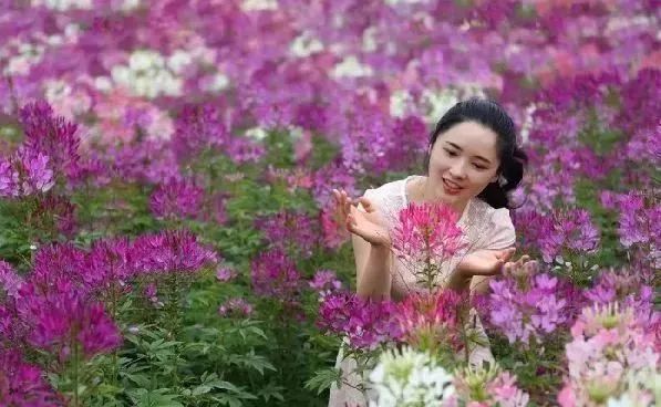 五一朝天旅游,踏青出游五一小长假怎么玩